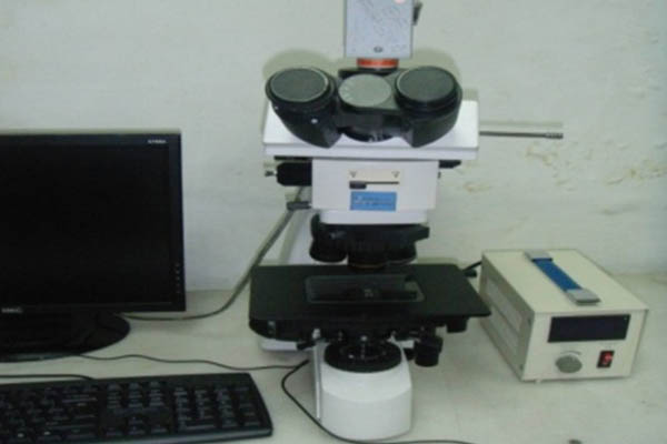 Micropore number tester